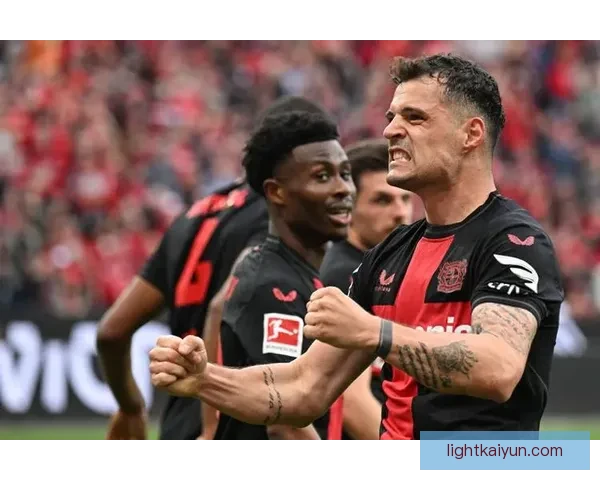 勒沃库森重塑球队结构，迎来新赛季竞争力提升